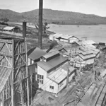 46.c1930-NSW-works-site-from-top-of-flying-fox-tower