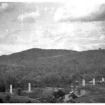 54.Bethanga-Bridge-construction-02