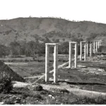 55.Bethanga-Bridge-construction-05