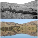 Bethanga-Park-before-Hume-Dam