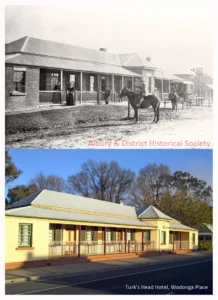 2.Turks-head-Albury