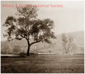 3.Albury-Hovell-tree-and-Murray-River-wharf